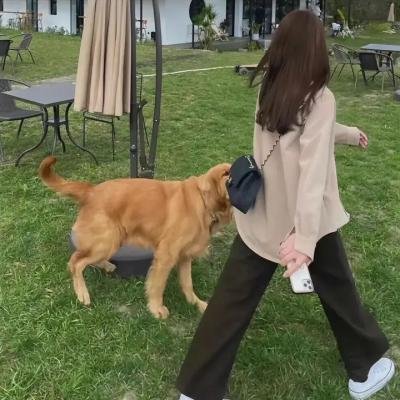 我瞒结婚了粤语